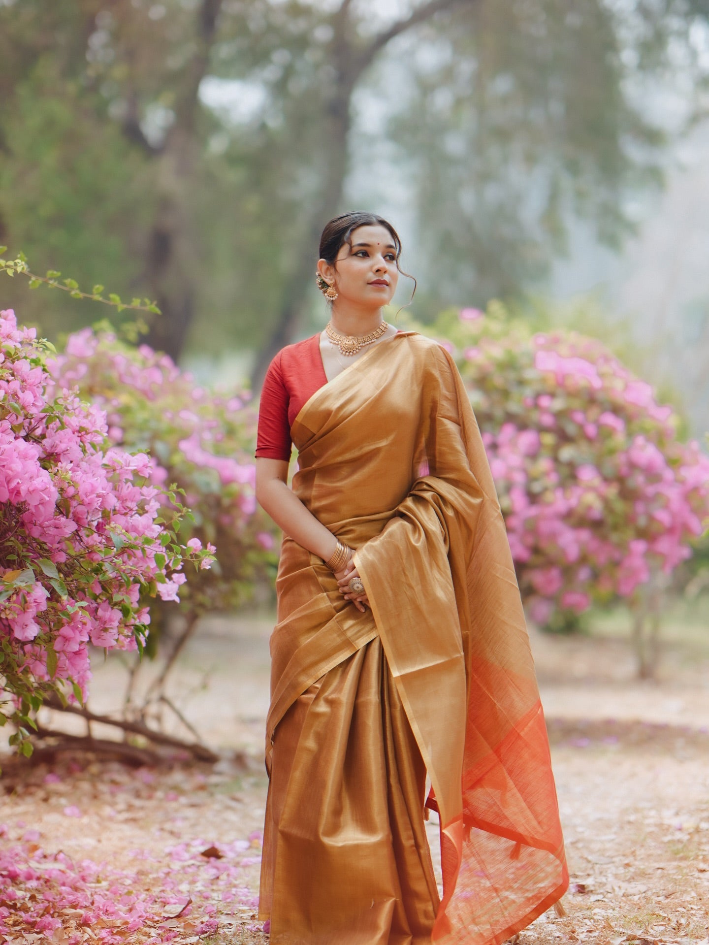 Buy MySilkLove Corn Gold Handloom Tissue Saree Online