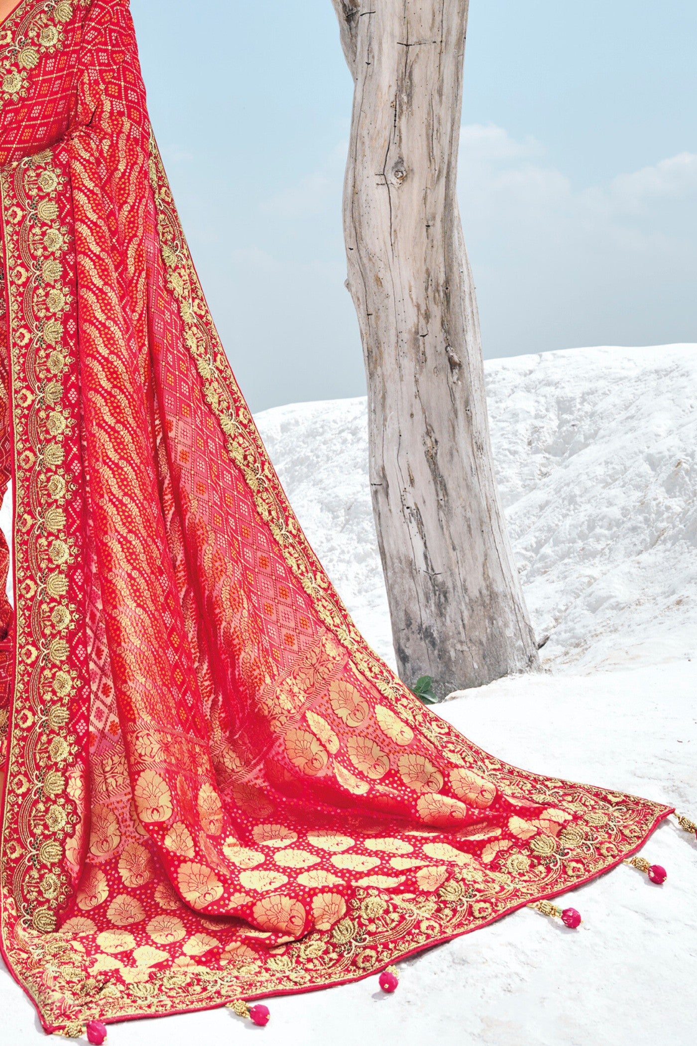 Buy MySilkLove Anthuriums Red Georgette Patola Saree Online