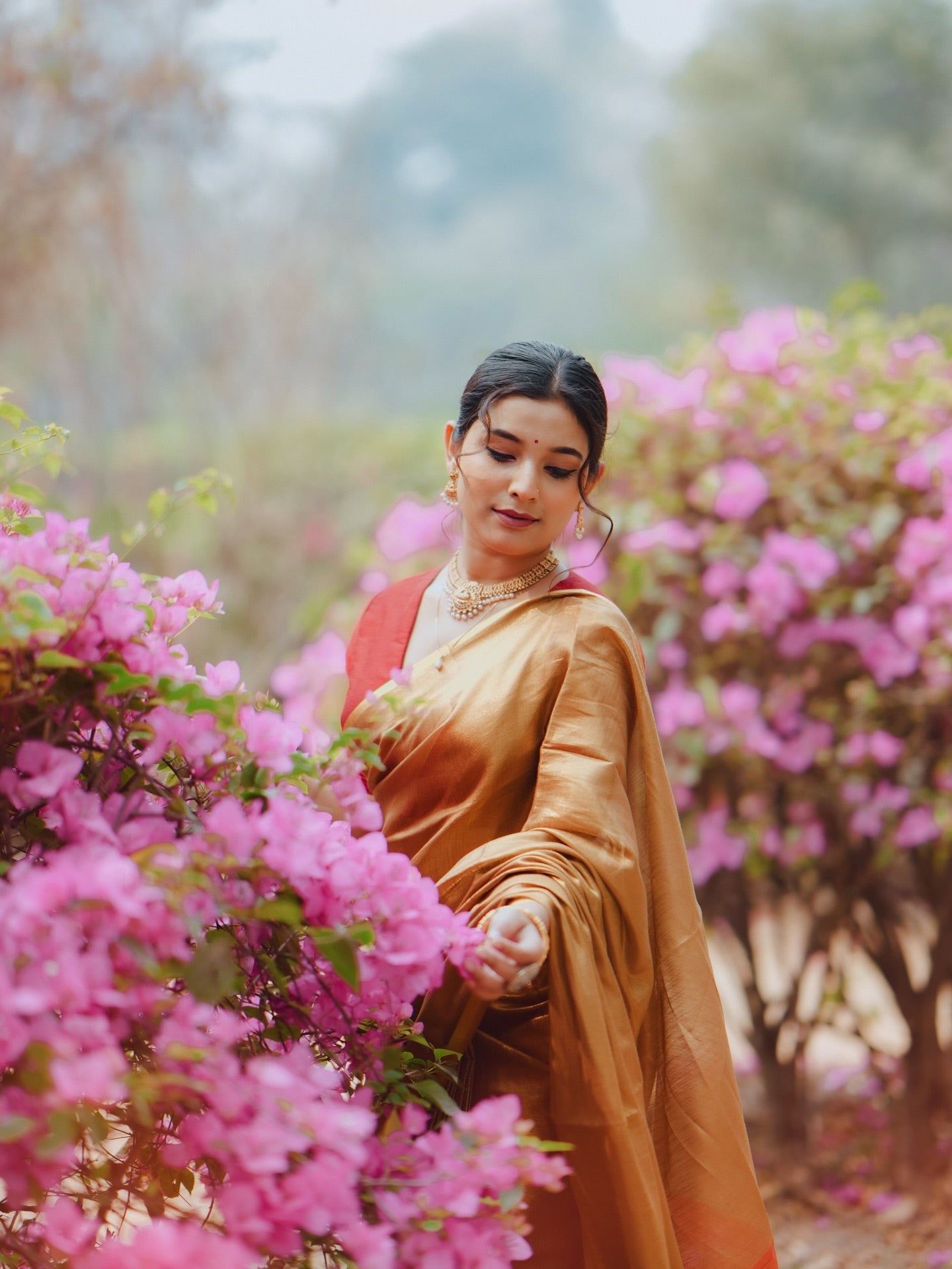 Buy MySilkLove Luxury Gold Handloom Tissue Saree Online