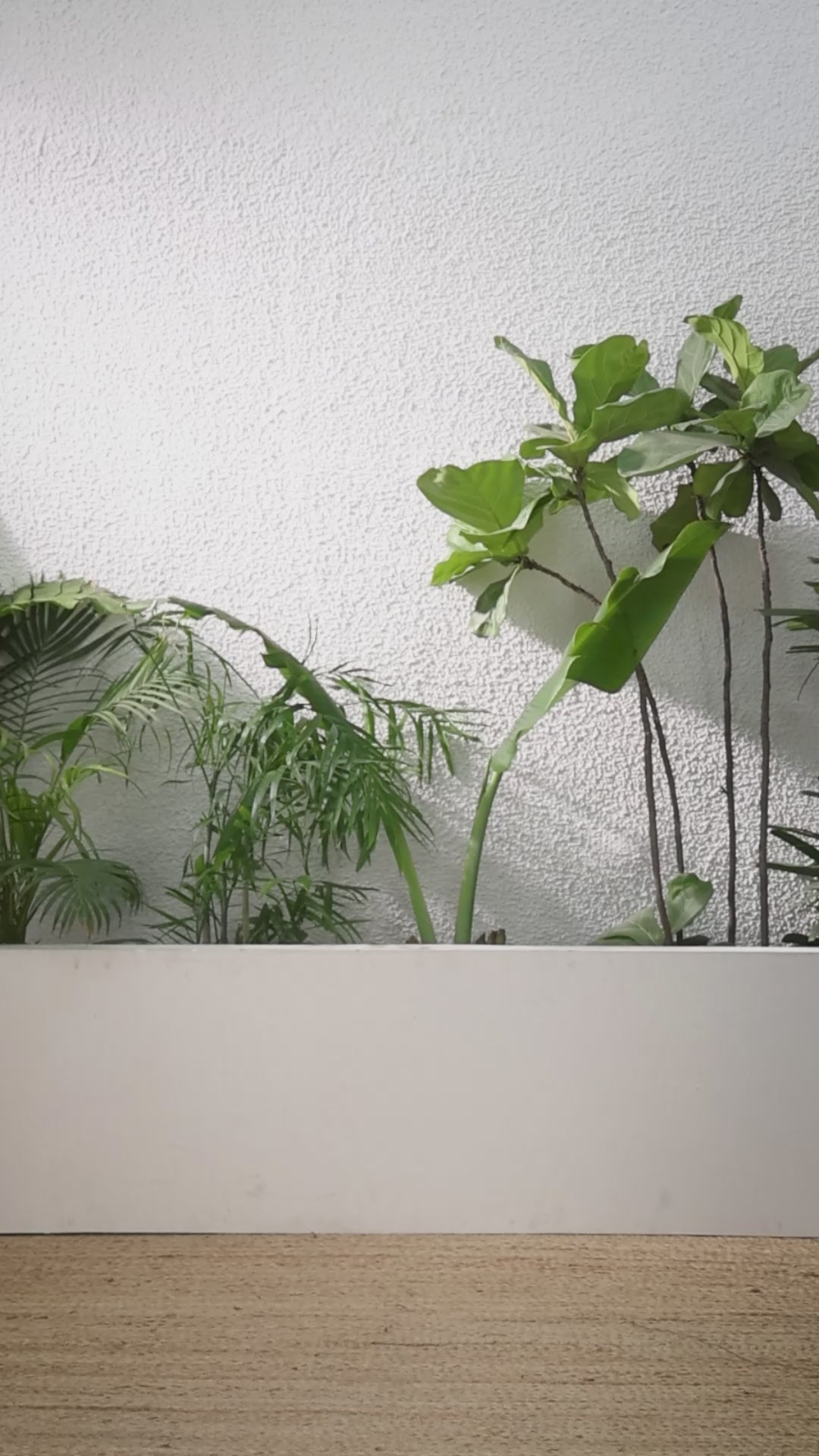 Buy MySilkLove Artichoke Green Banarasi Handloom Soft Silk Saree Online