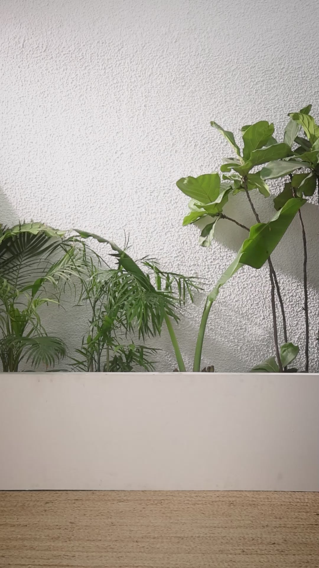 Buy MySilkLove Ink Black Printed Cotton Saree Online