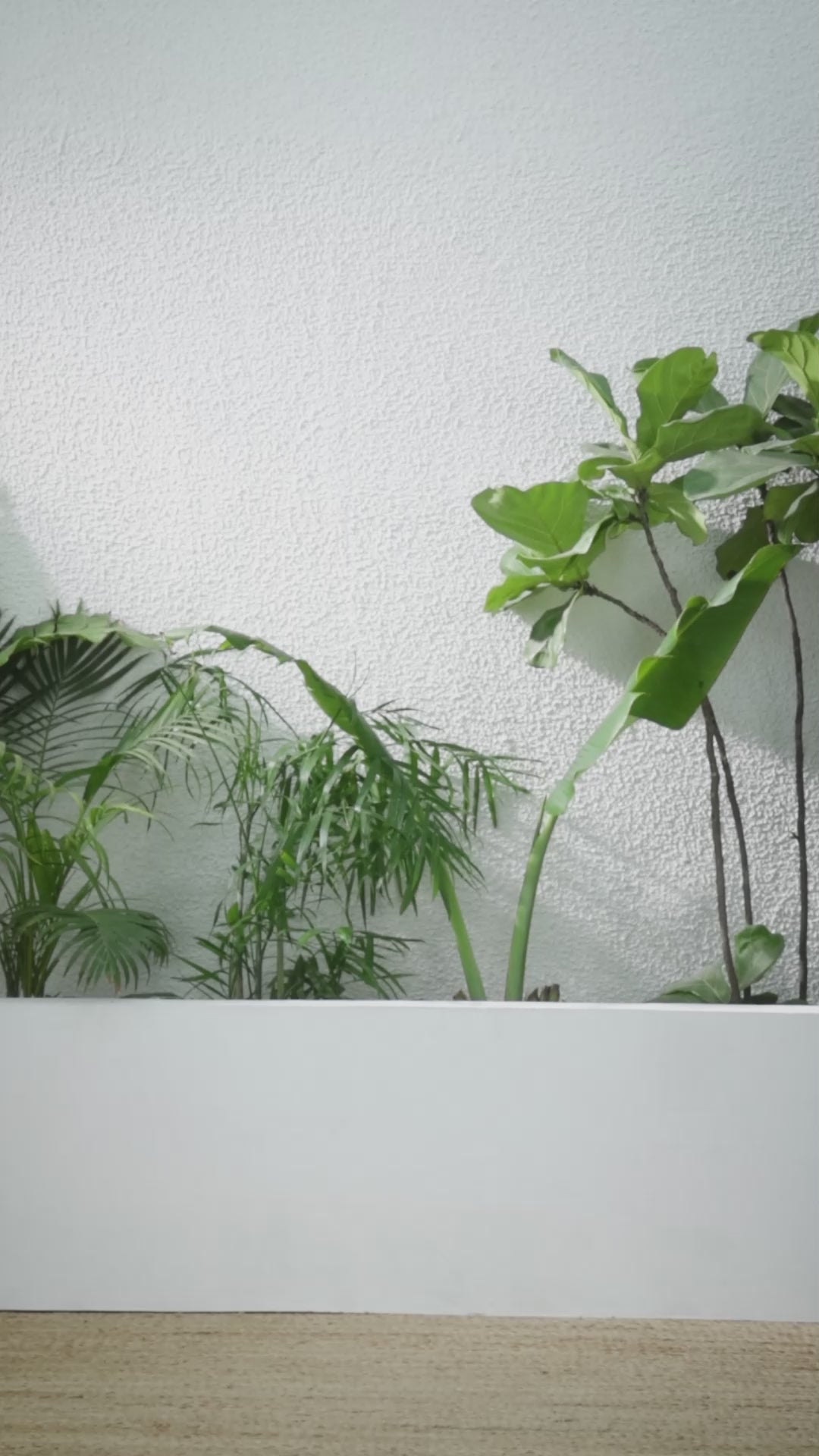 Buy MySilkLove Peacock Blue Banarasi Woven Soft Silk Saree Online