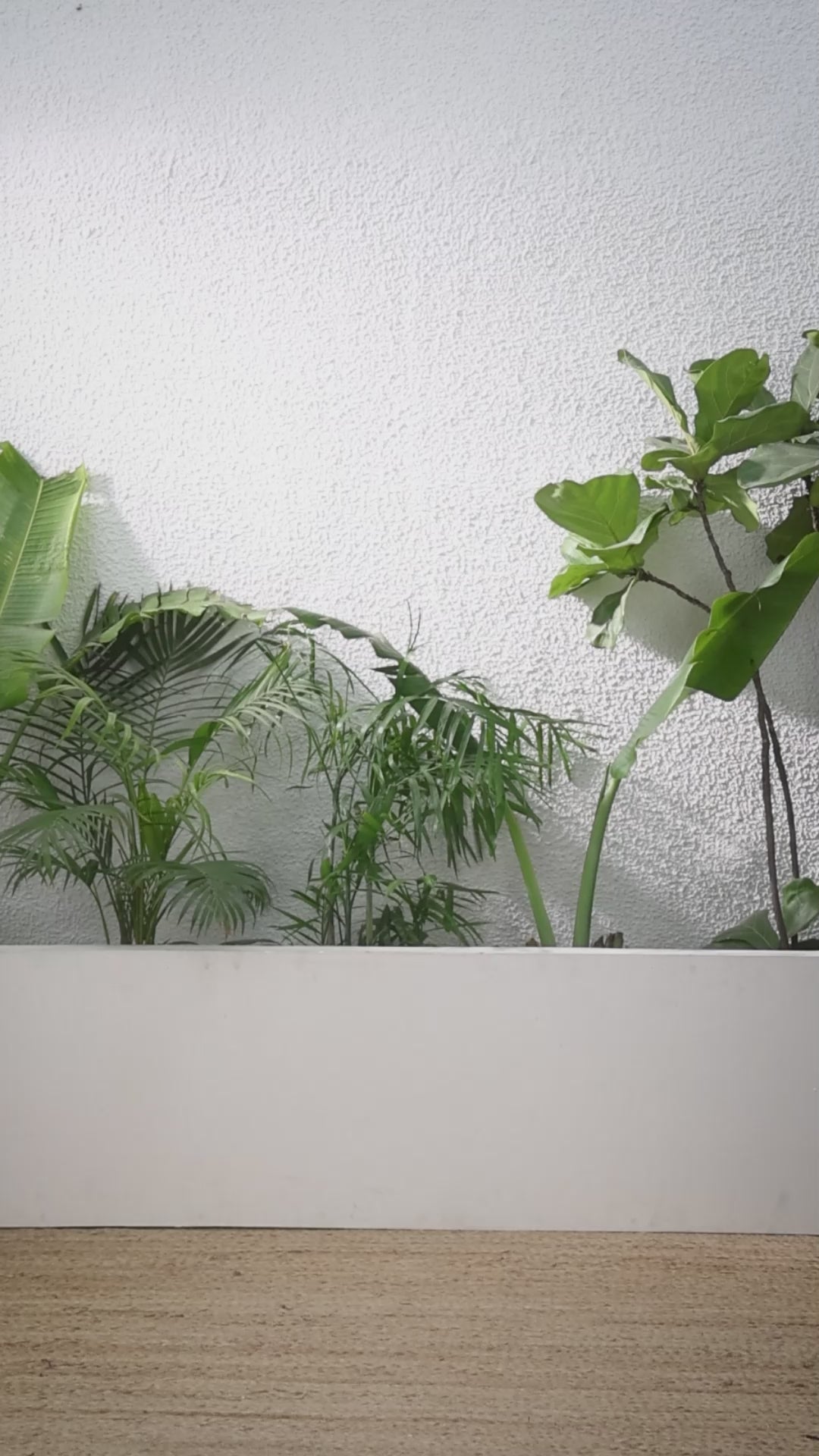 Buy MySilkLove Dark Tan Maroon Printed Cotton Saree Online