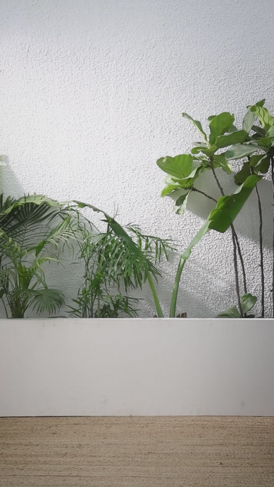 Buy MySilkLove Stiletto Maroon Printed Cotton Saree Online