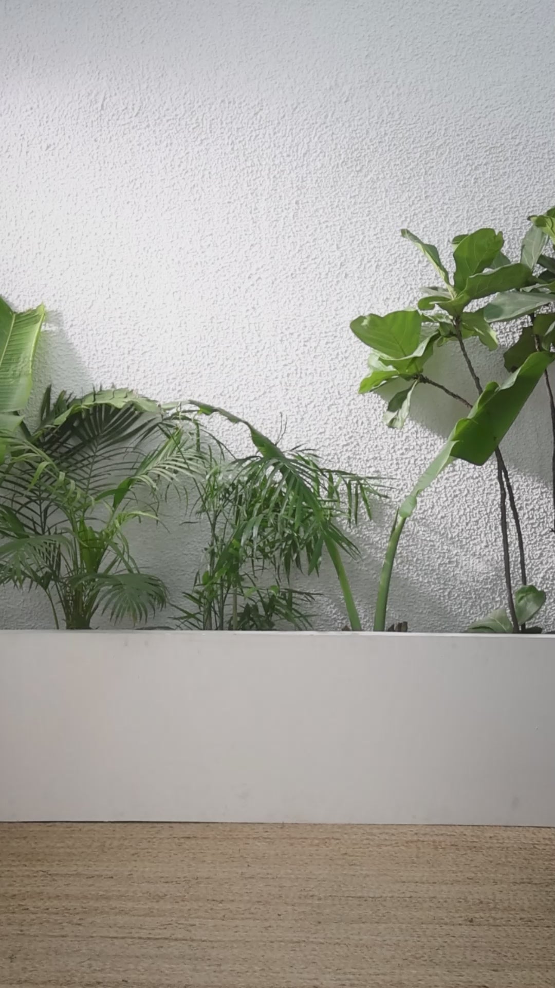 Buy MySilkLove Peanut Brown Banarasi Handloom Soft Silk Saree Online