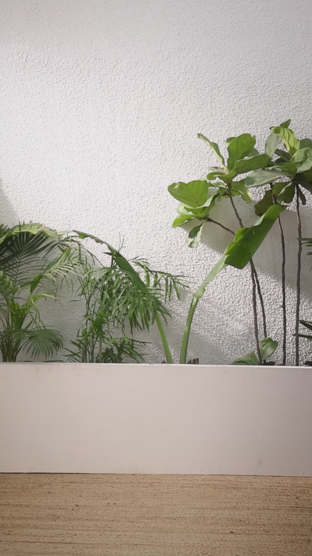 Buy MySilkLove Cloudy Grey Printed Cotton Saree Online