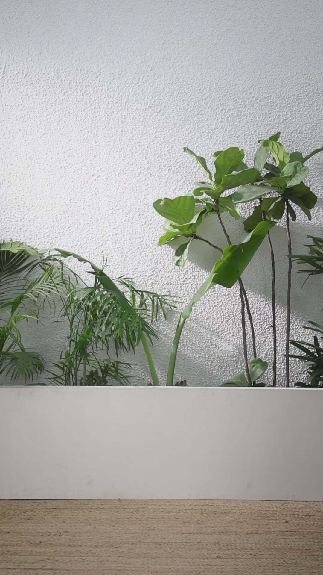 Buy MySilkLove Ronchi Yellow Printed Cotton Saree Online