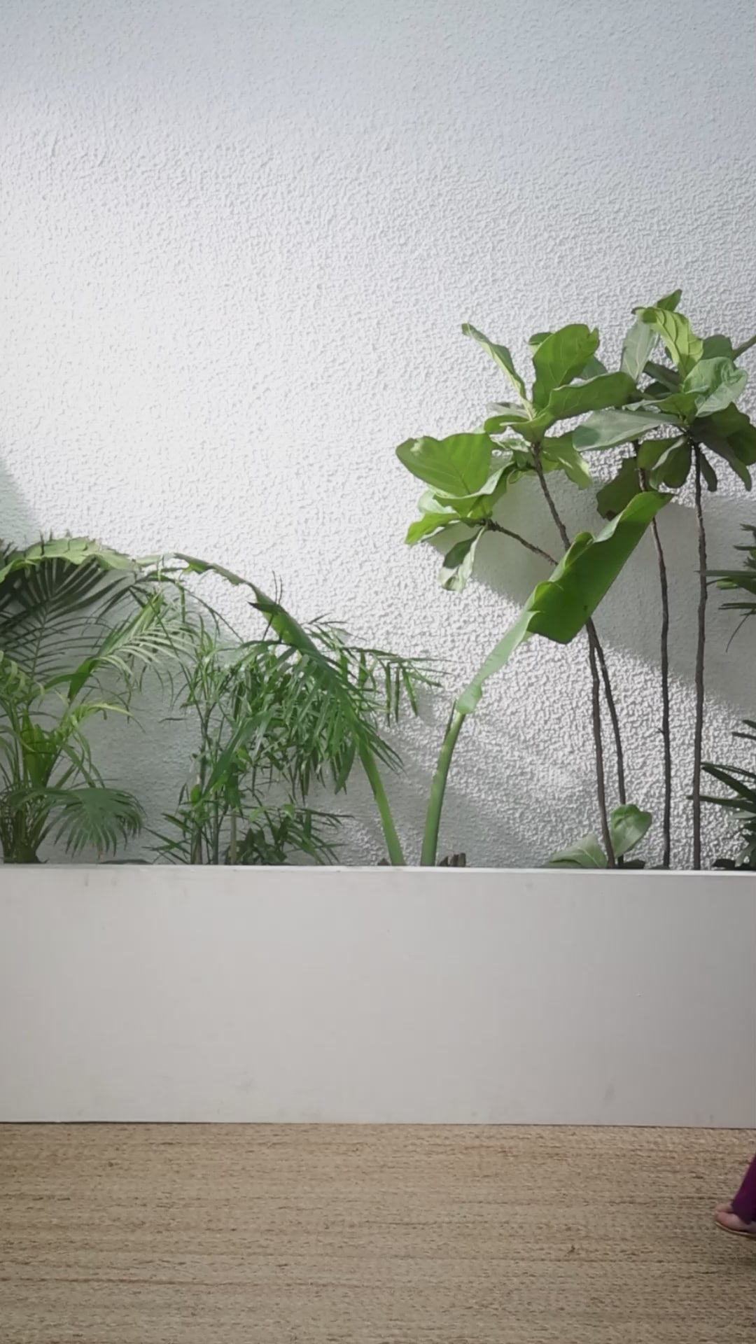 Buy MySilkLove Princeton Orange Banarasi Handloom Soft Silk Saree Online