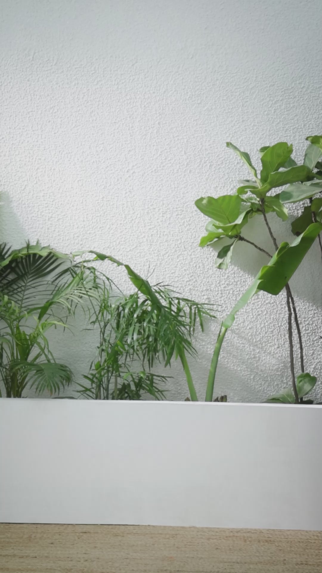 Buy MySilkLove Chestnut Brown Banarasi Woven Soft Silk Saree Online