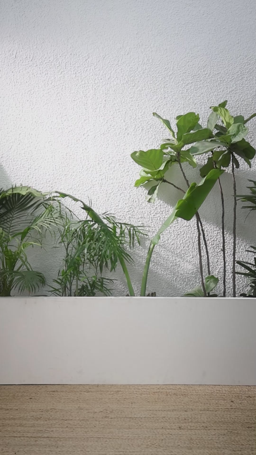 Buy MySilkLove Asparagus Green Banarasi Handloom Soft Silk Saree Online